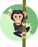 Chimpanzee cartoon