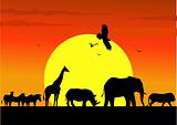 Animal africa silhouette