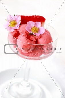 Strawberry sorbet 