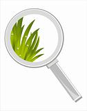 magnifying glass with grass isolated on white