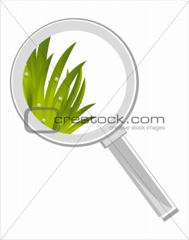 magnifying glass with grass isolated on white