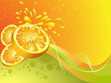 Orange citrus fruit. Vector illustration