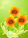 Vector illustration of summer composition with orange hibiscus 