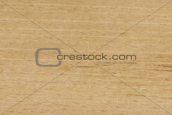 Natural Wood Texture 10