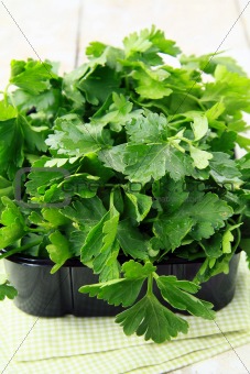 green, organic parsley in a cup on a napkin