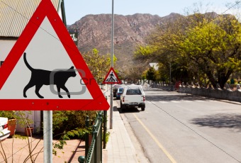 Triangular road sign warning cats are crossing