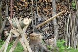 Wooden log 