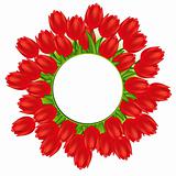 Vector illustration of red tulips. Gradient meshes. 