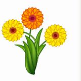 Vector illustration of sunny flowers. Gradient meshes.