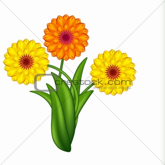 Vector illustration of sunny flowers. Gradient meshes.