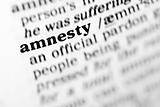 amnesty (the dictionary project)