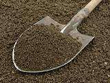 spade with soil