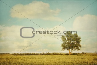 Lonely tree in meadow with vintage look