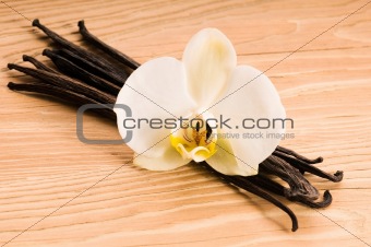 Vanilla pods and flower