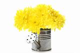 Watering can with yellow flowers
