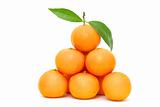  mandarine 