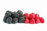 raspberry and blackberry 