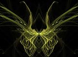 Yellow Fractal Butterfly Wings on Black Background