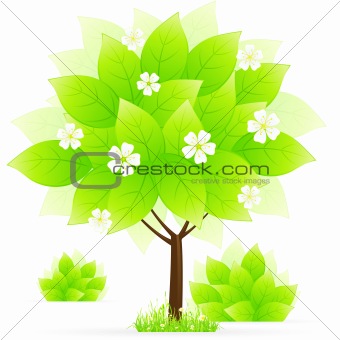 Green tree with grass