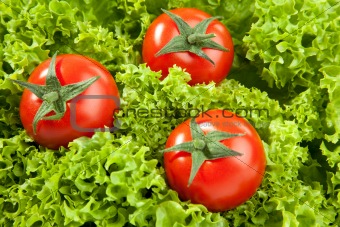 red Tomatos