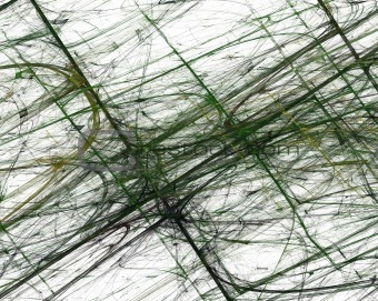 Green Grunge Fractal Pattern on a White Background