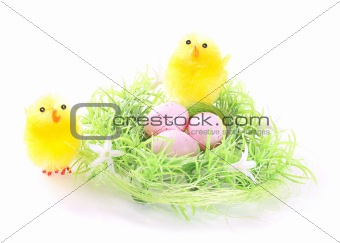 Nest with eggs and chicks