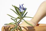 mortar with rosemary