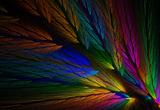 Parrot Colored Feather Fractal