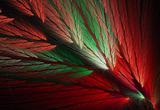 Parrot Feather Fractal in Christmas Colors
