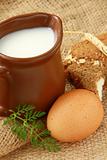 Glass jug with milk and  eggs on natural background of rustic style