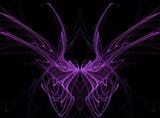 Purple Fractal Butterfly Wings on Black Background