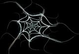 White Fractal Spider Web on a Black Background