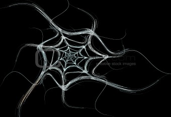 White Fractal Spider Web on a Black Background
