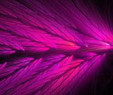 Parrot Feather Fractal in Hot Pink and Lavender