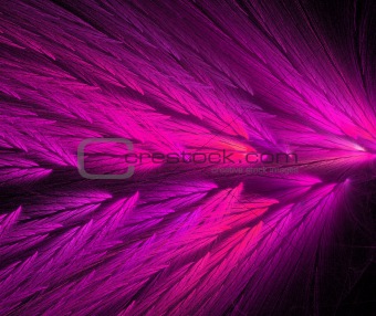 Parrot Feather Fractal in Hot Pink and Lavender