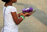 Flowers of a lotus in hands