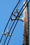 Telephone pole with wires