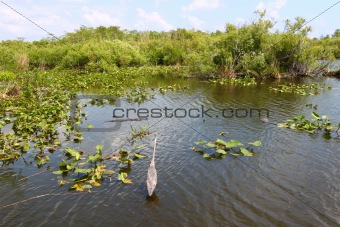 Everglades National Park - USA