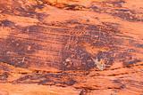 Petroglyphs at Valley of Fire - Nevada