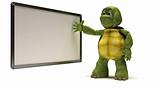 Tortoise with blank white board