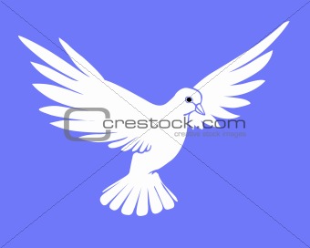 vector silhouette dove on blue background