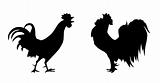 vector silhouette of the cock on white background