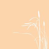 vector silhouette of the reed isolated on brown background