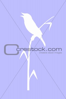 vector drawing of the bird sitting on reed