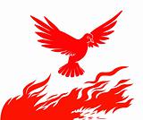 vector silhouette of the bird on fire on white background