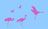 vector silhouette of the cranes on blue background