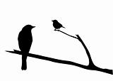 vector silhouette of the bird on branch
