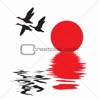 vector silhouette flying ducks on white background