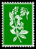 vector silhouette of the plant on postage stamps