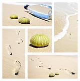 Collage of beach scenes with footprints and sea urchin shells